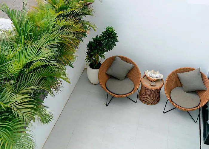 Kenko Bali New Wellness Bingin